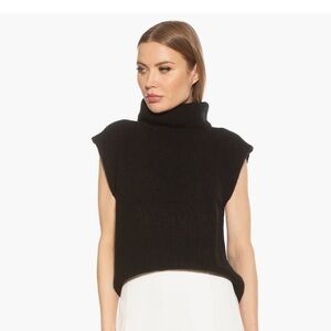 Alexia Admor Black Jaylani Sleeveless Turtleneck Sweater